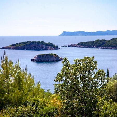 Zavia Penthouse Apartment Syvota Exterior photo